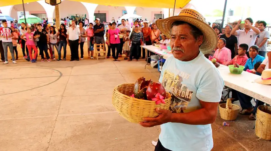 Cultura y Tradición: El Valor Cultural de la Feria de la Pitaya en Santo Domingo Tianguistengo