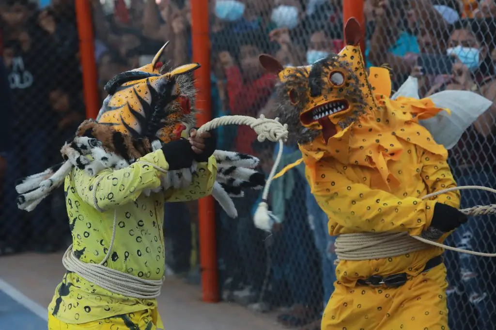 Programa de Actividades para la Pelea de Tigres: Desde el Amanecer hasta el Anochecer